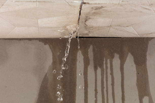 Professional Structural Drying technician working in Cypress, TX